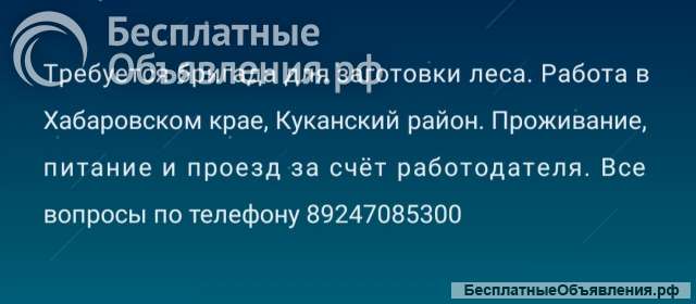 Бригада для заготовки леса