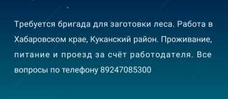 Бригада для заготовки леса