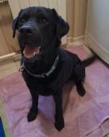 У Дэни две недели на поиски дома