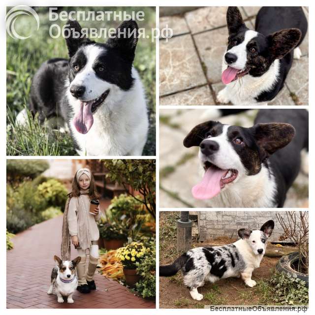 Кардиганы классные подростки. Недорого. Ноябрь 2025