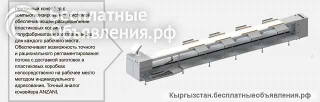 Ленточный адресный конвейер производства MOZES INC