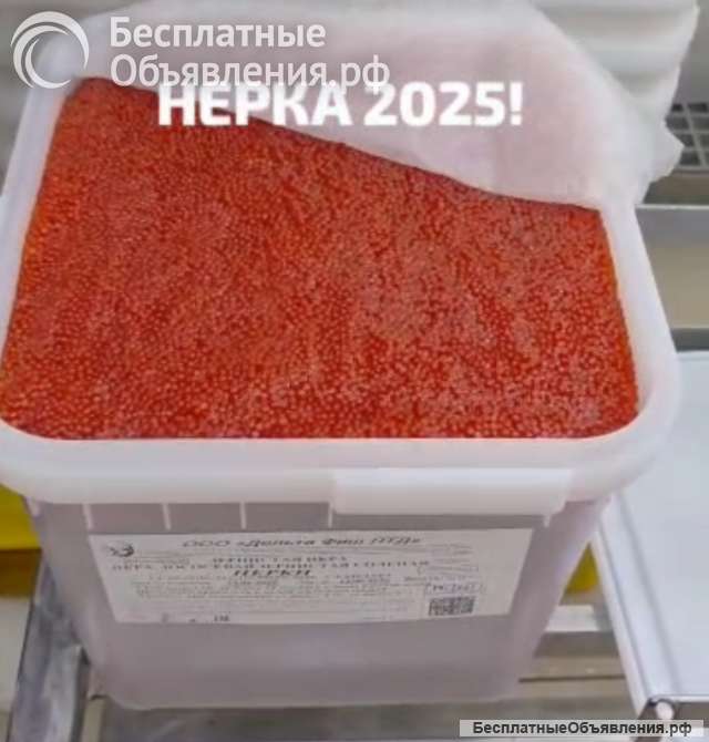 Красная икра горбуши, нерки, кеты, кижуча и форели 2025 года лучших производителей
