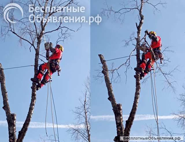 Удаление деревьев любой сложности