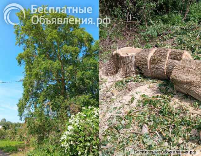 Удаление деревьев любой сложности