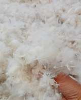 Подушка из гусиного пуха пера