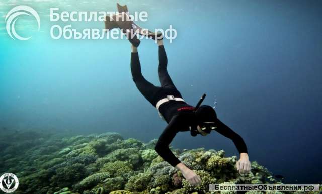 Погрузись и познай водный мир - вселенную фридайвинга