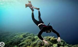 Погрузись и познай водный мир - вселенную фридайвинга