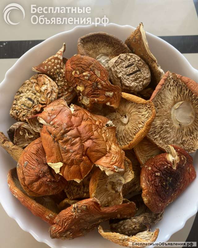 Мухоморы сушеные