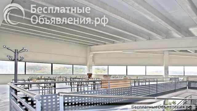 Пивоварня в Испании