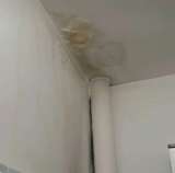 Мелкий ремонт покраска побелка