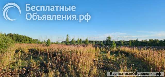 Земля в кп Кулига-2, Тюмень