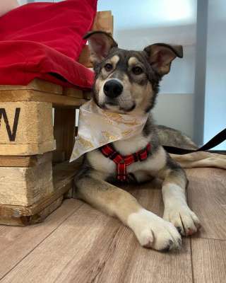 Алтай - в сердце навсегда