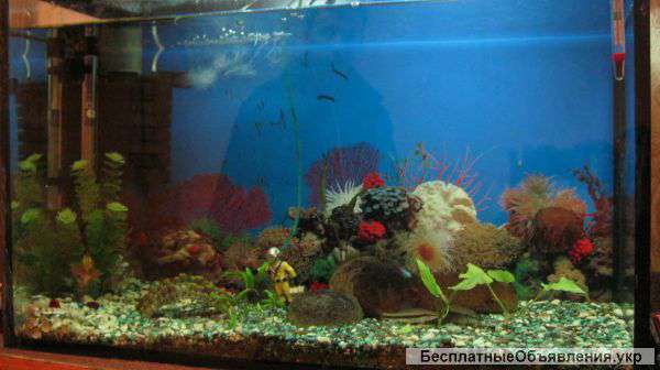 Акварыум 120-150 л 1200грн