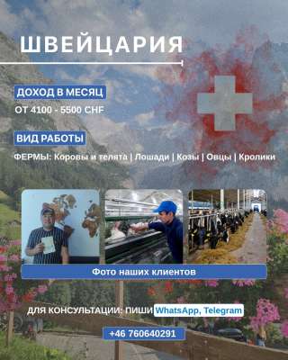 Работа на ферме в Швейцарии