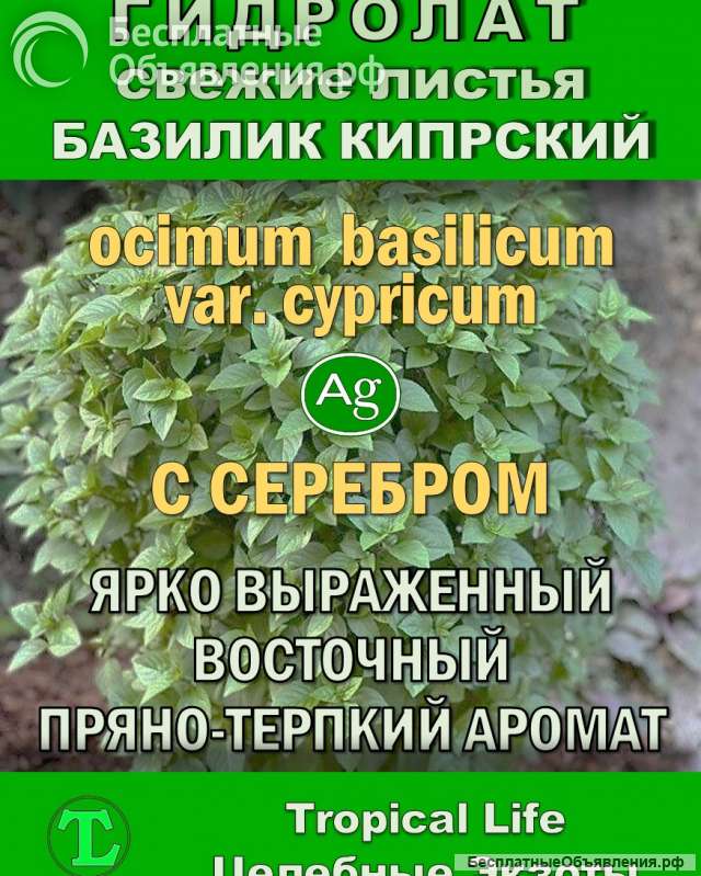 Гидролат Кипрского Базилика. ProGynuru. С наносеребром.