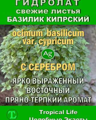 Гидролат Кипрского Базилика. ProGynuru. С наносеребром.
