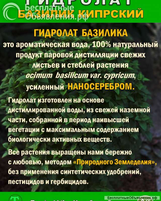 Гидролат Кипрского Базилика. ProGynuru. С наносеребром.