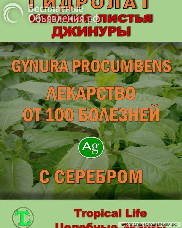 Гидролат джинуры. Gynura procumbens. ProGynuru. С наносеребром.