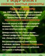 Гидролат джинуры. Gynura procumbens. ProGynuru. С наносеребром.