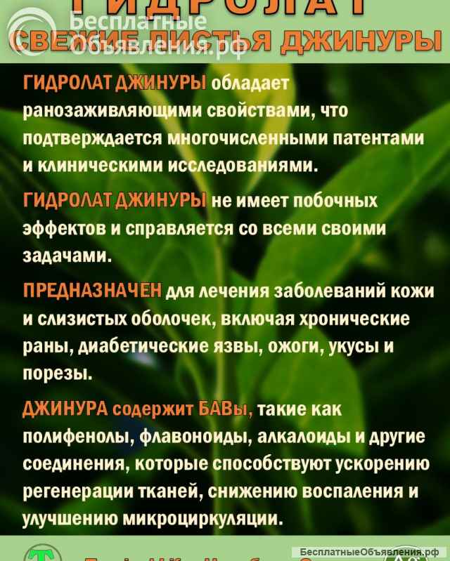 Гидролат джинуры. Gynura procumbens. ProGynuru. С наносеребром.