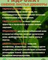 Гидролат джинуры. Gynura procumbens. ProGynuru. С наносеребром.