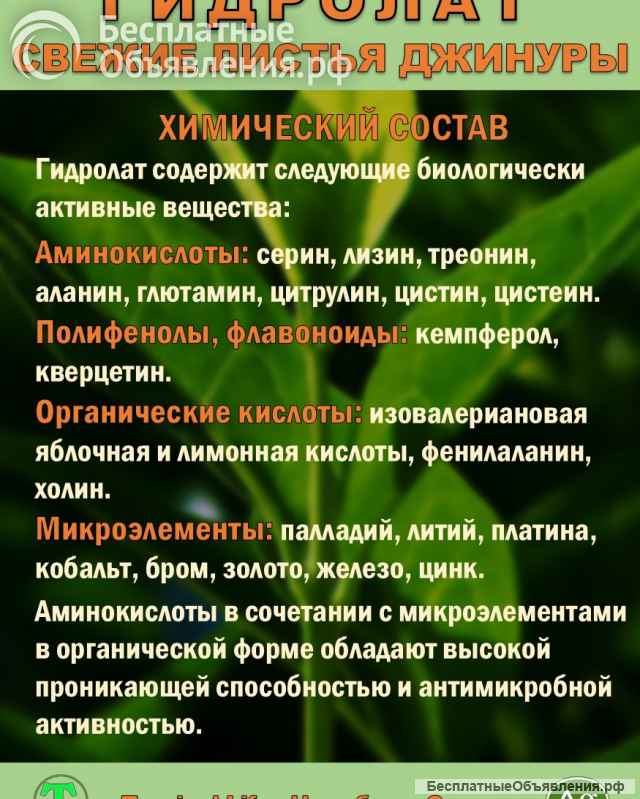 Гидролат джинуры. Gynura procumbens. ProGynuru. С наносеребром.