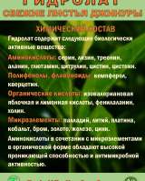 Гидролат джинуры. Gynura procumbens. ProGynuru. С наносеребром.