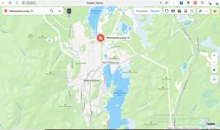 Подъездные железнодорожные пути (ж.д. путь к газораздаточной станции)