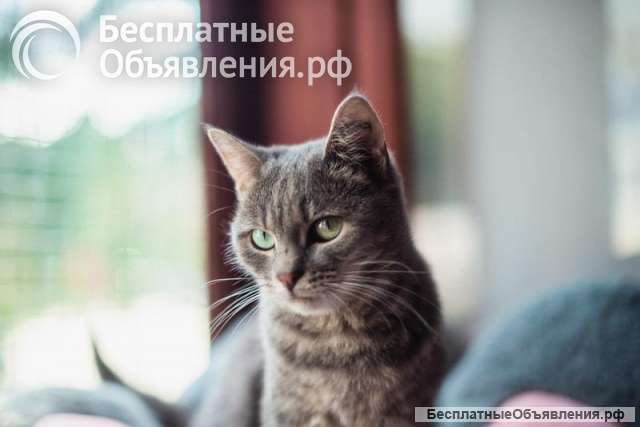 Нежная и ласковая Зоя ищет свою семью