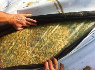 Пленка вакуумная