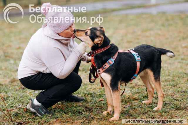 Молли ищет дом и человека