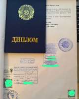 Легализация документов под ключ для ОАЭ, Катара, Кувейта, Египта, Вьетнама