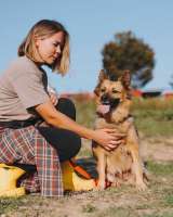 Домашняя миниатюрная собачка Леди, идеальный компаньон ищет дом