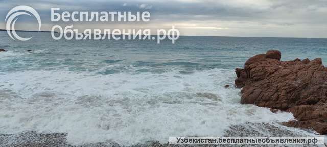 Ваш представитель/ закупщик в Европе