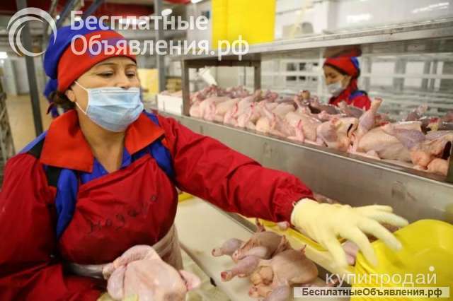 Фасовщики/Вахта от 20 смен с высокой оплатой