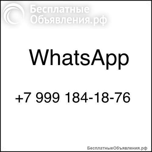 Щенки Мальтипу F1 и F2