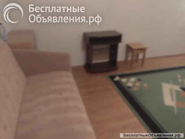 Большая 1 комн квартира