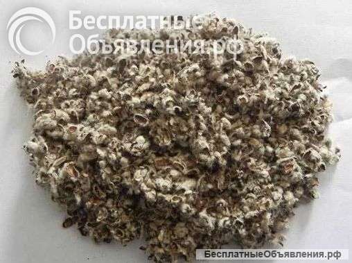 Хлопковая шелуха, шрот