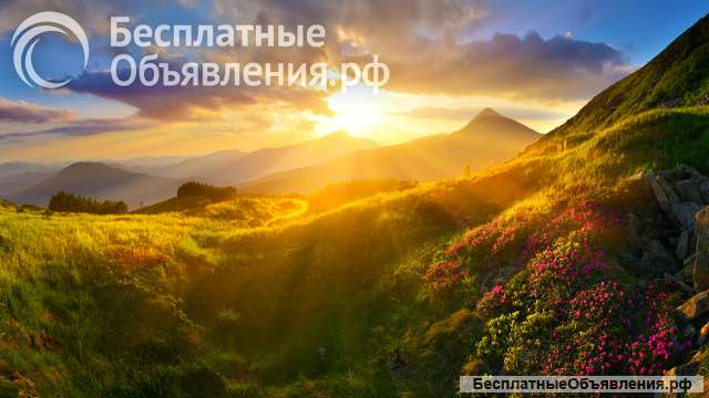 Прошу помощи на продукты