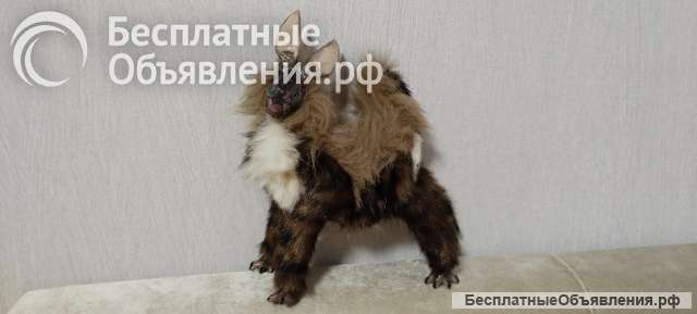 Каркасные куклы существа