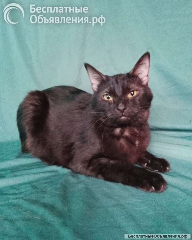 Сабрина ищет дом