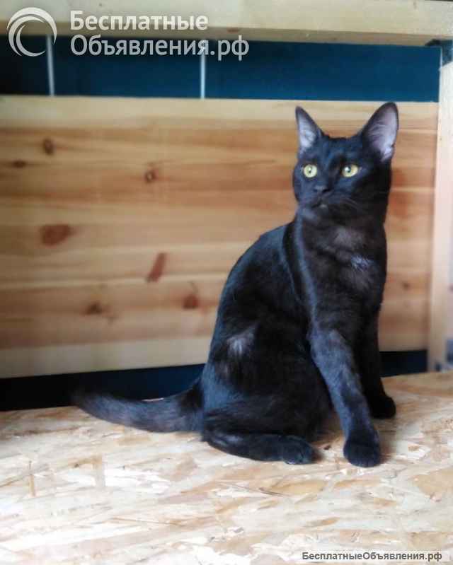 Сабрина ищет дом