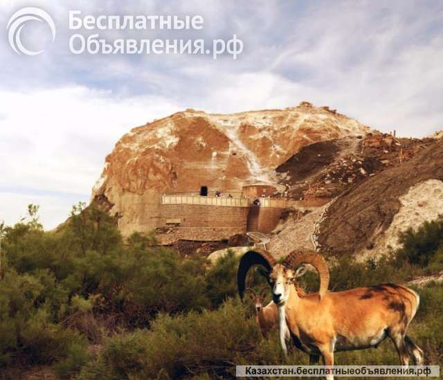 Актау/ Поездка к подземной мечети Караман ата, Бекет ата, Шопан ата