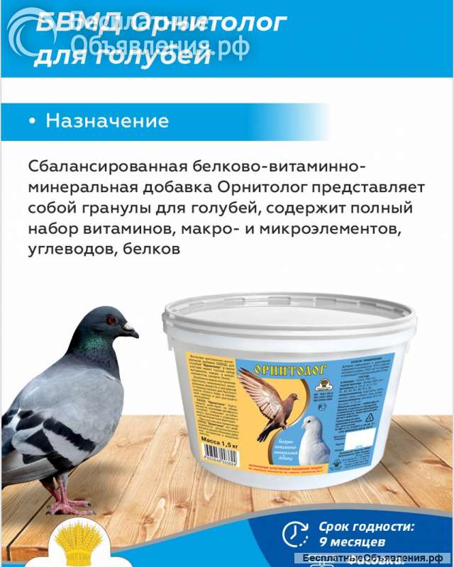 БВМД Орнитолог для голубей Ваш путь к здоровью и продуктивности