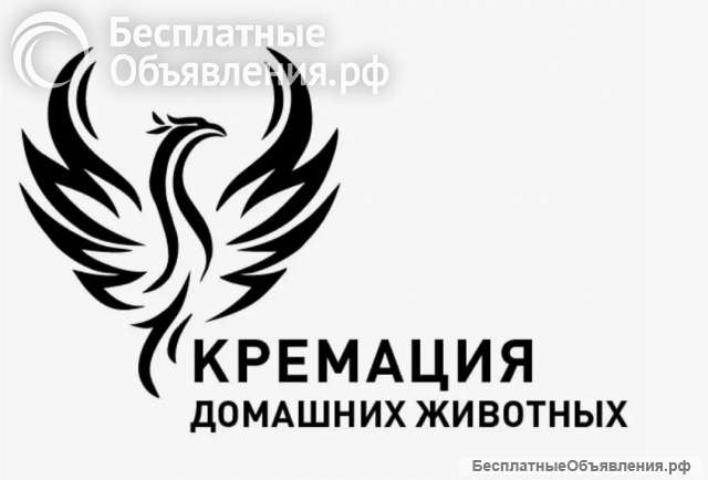 Кремация животных 24/7