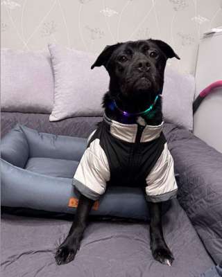 Ищу лучшую семью для лучшего мальчика