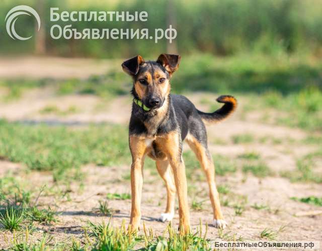 Активная красавица Ива ищет любящую семью