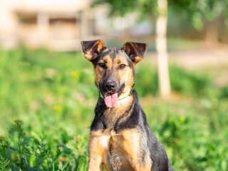 Активная красавица Ива ищет любящую семью