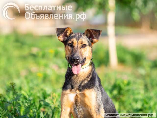 Активная красавица Ива ищет любящую семью