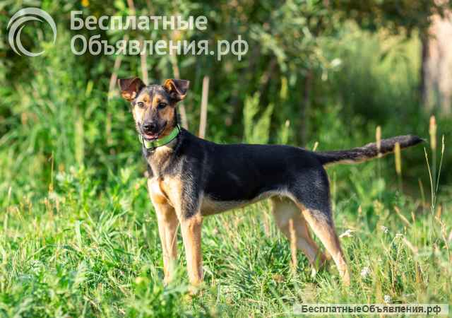 Активная красавица Ива ищет любящую семью